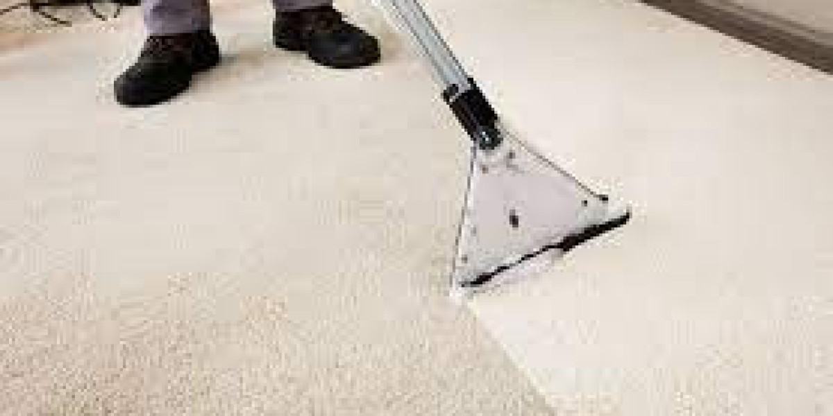 The Role of Regular Carpet Cleaning Services in Germ Prevention