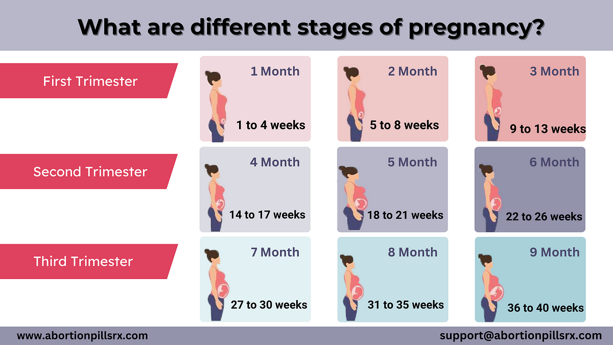 What are different stages of pregnancy? | by Sherlly wrander | Jan, 2024 | Medium