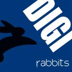digi rabbits Profile Picture