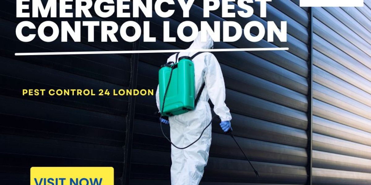 We offer emergency pest control solutions in London.