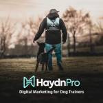 Dog Trainer Local SEO Profile Picture