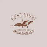 Bestbudswdc Dispensary Profile Picture