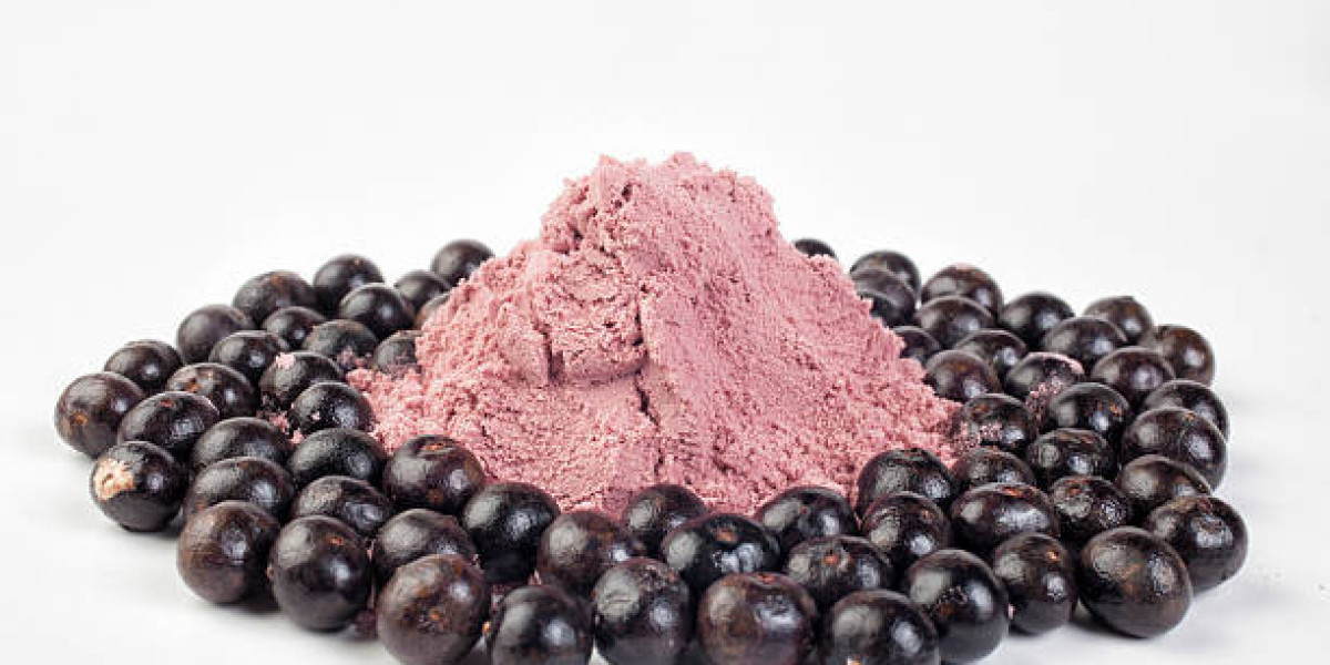 Fruit Powder Market Report with Regional Growth and Forecast 2030