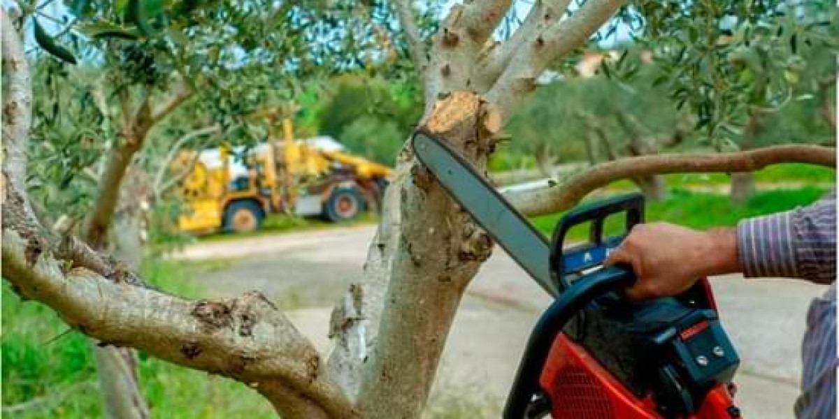 Navigating the Green Landscape: Hiring Tips for Professional Tree Removal