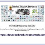 DownloadWorkshop Manuals Profile Picture