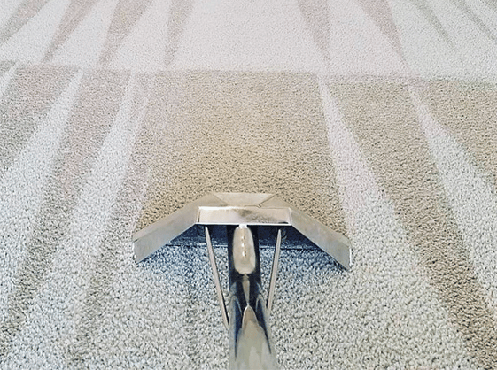 Carpet Cleaning London | 20 000+ Positive Reviews