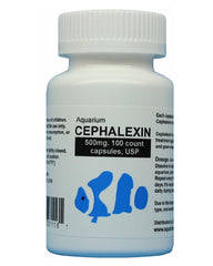 Untitled on Tumblr: What is cephalexin used for in fish?