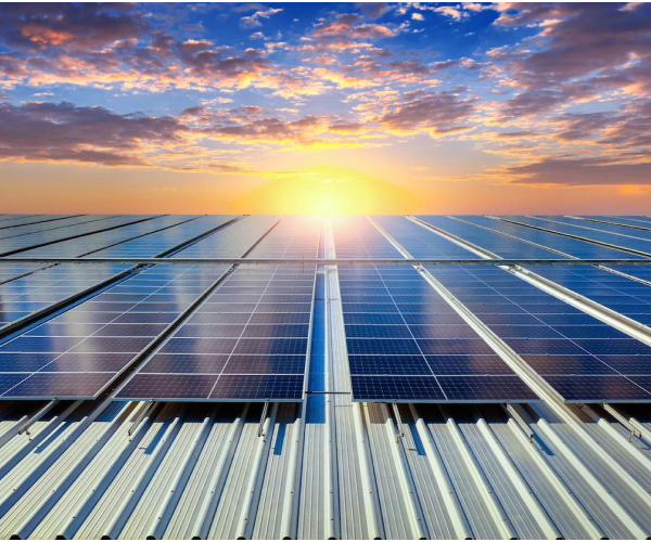Best solar panel distributors in India I Sunapecopower