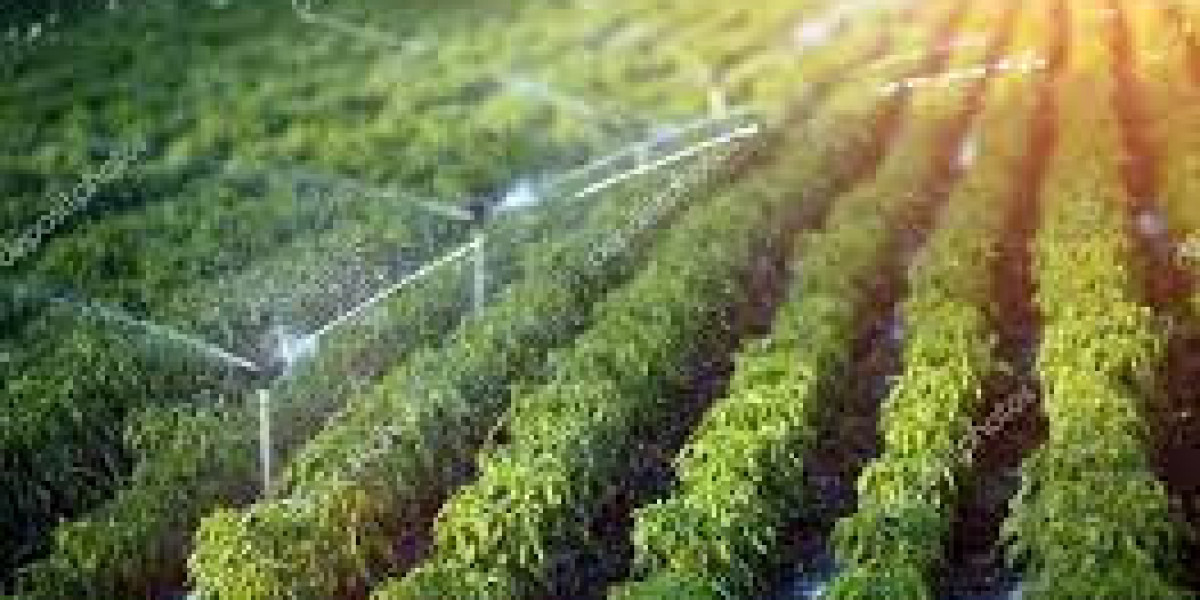 Understanding the Options: Exploring Different Irrigation Systems