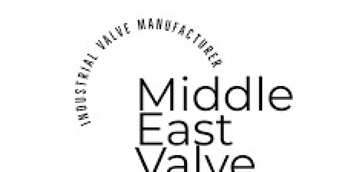Triple Duty Valve supplier in UAE