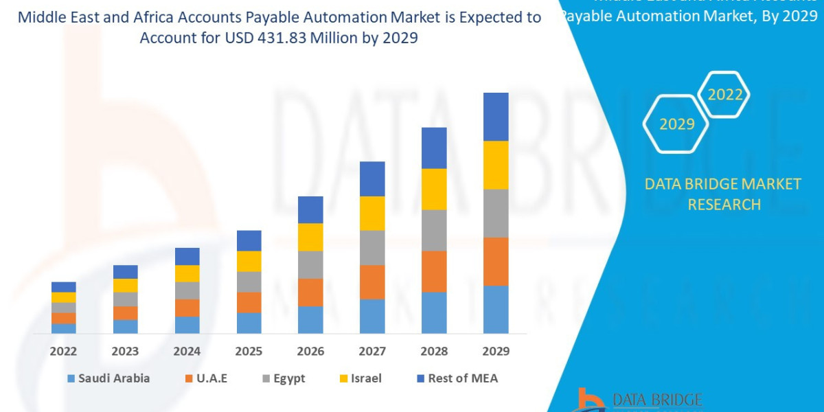 Middle East and Africa Accounts Payable Automation Market Size, Share, Industry, Forecast