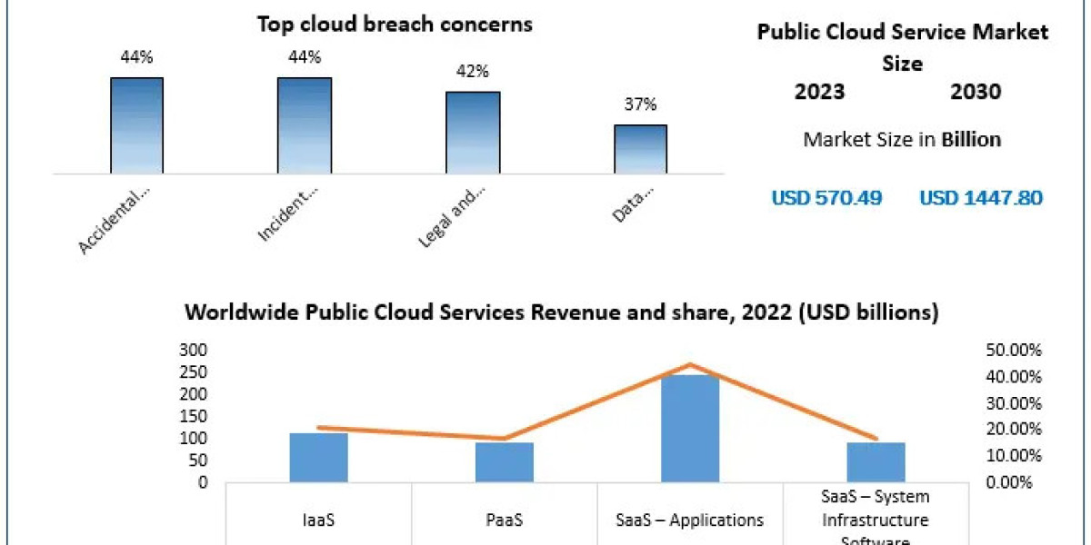 Public Cloud Service Market Size 2021 by Top Countries Data, Industry Analysis by Regions 2030