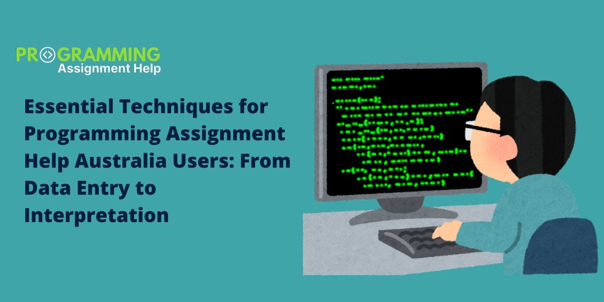 Essential Techniques for Programming Assignment Help Australia Users: From Data Entry to Interpretation