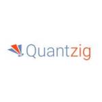 Quantzig Data Analytics Profile Picture
