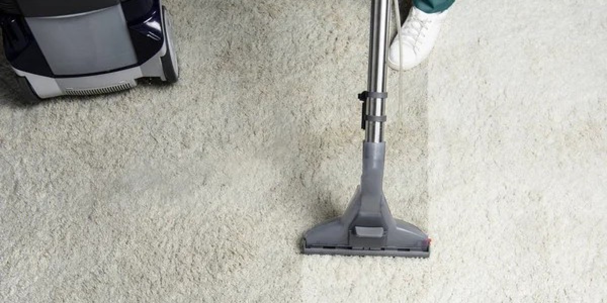 Enhance Your Home Environment: Professional Carpet Cleaning Insights