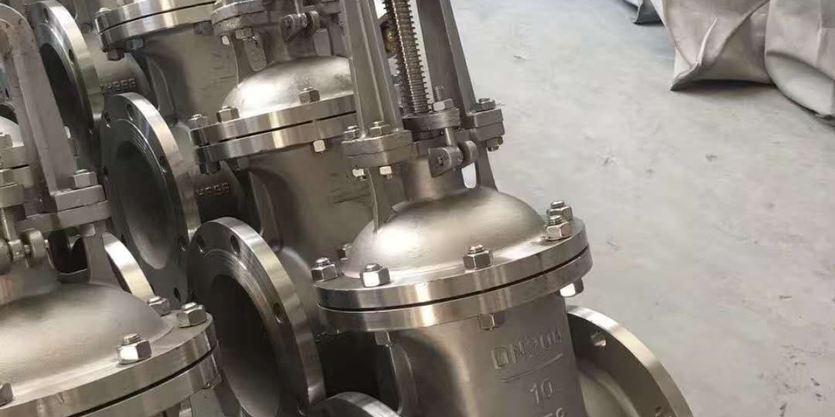 Stainless Steel Gate Valves Manufacturers