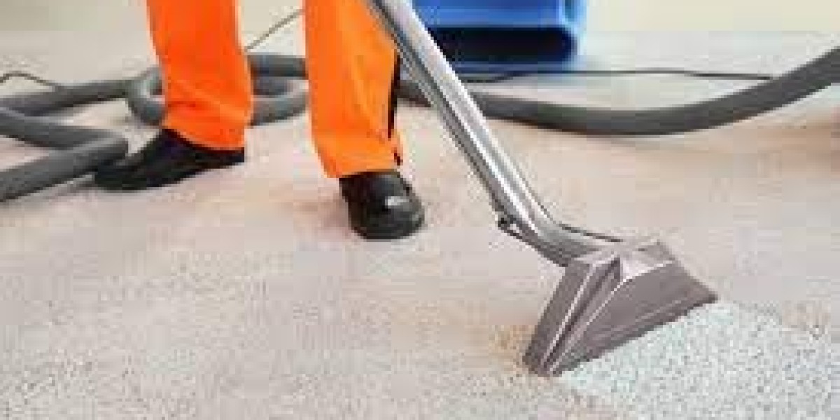 Clearing the Air: How Professional Carpet Cleaning Reduces Allergens