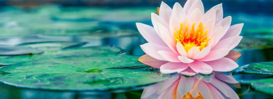 International Waterlily Collection Cover Image