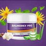 Balmorex -Pro Profile Picture