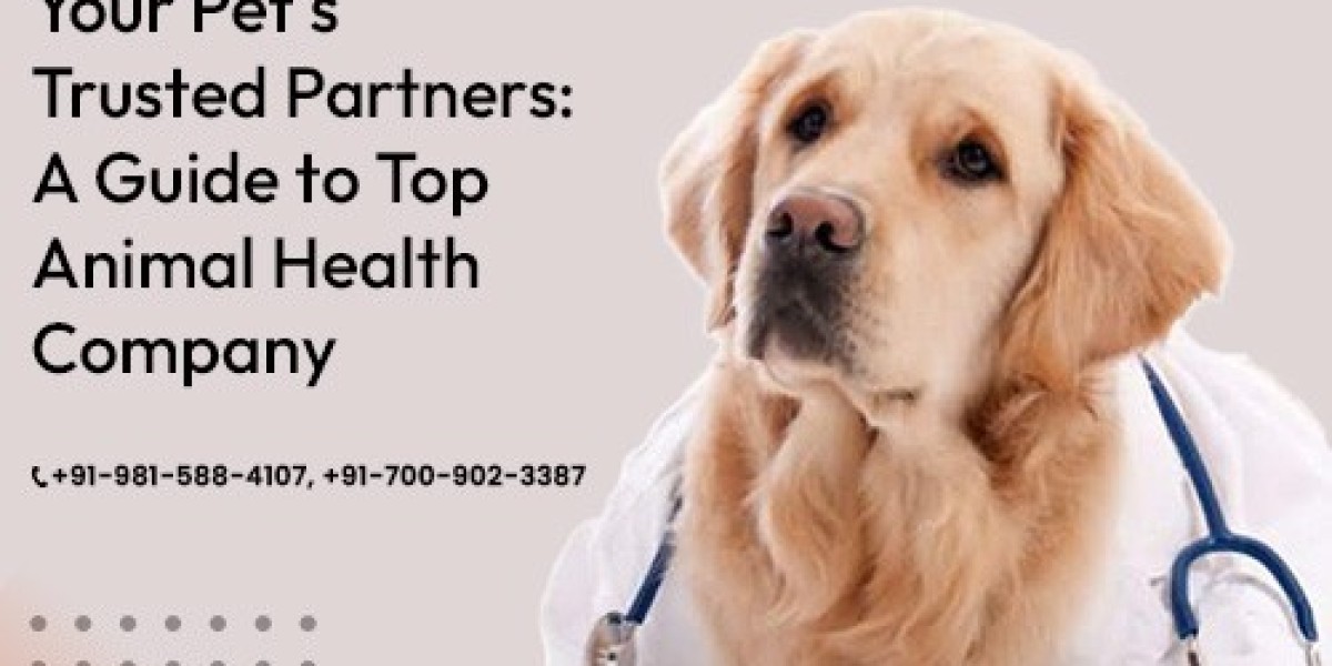 Your Pet's Trusted Partners: A Guide to Top Animal Health Company