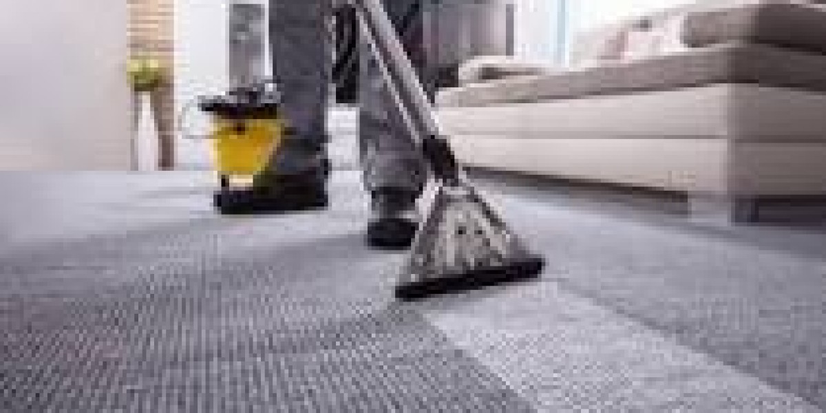 Professional Carpet Cleaning: The Key to a Healthier Home
