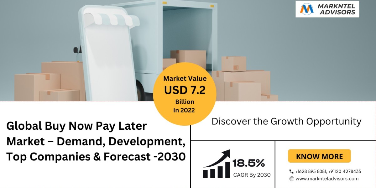 Buy Now Pay Later Market Report 2030 – Top 10 Companies, Industry Segment and Growth Analysis