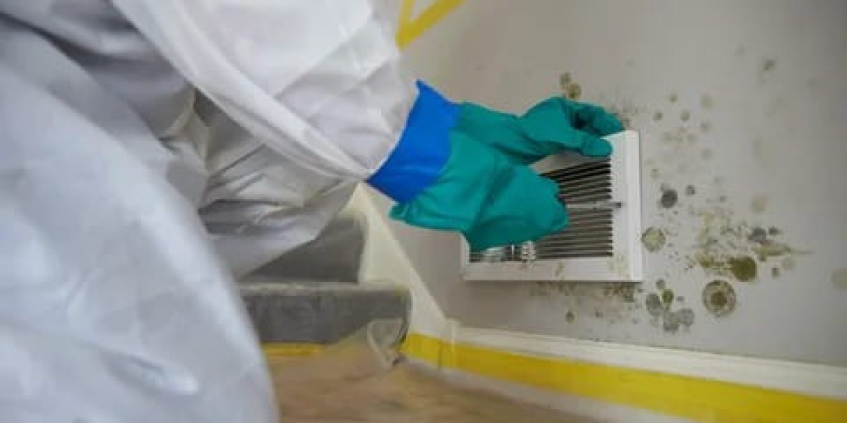 Mold Remediation Service Market is Anticipated to Witness High Growth Owing to Rapid Urbanization and Industrialization 