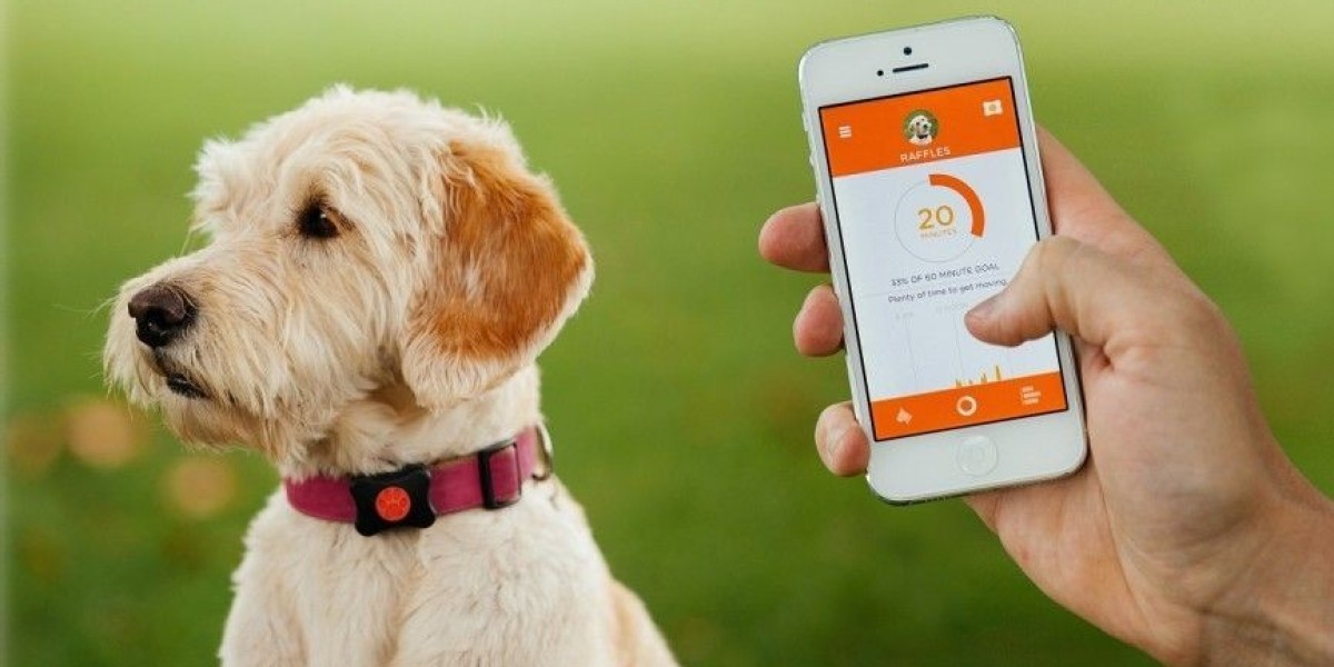 Pet Tech Market is driven by growing ownership of companion animals globally