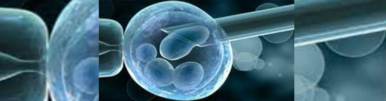 Preimplantation Genetic Testing (PGTa) of Embryos | AFGC