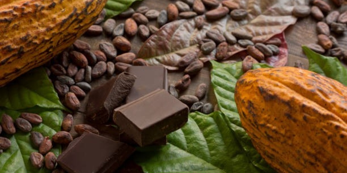 Mexico Organic Chocolate Market Growth, Business Strategies and Forecast by 2032