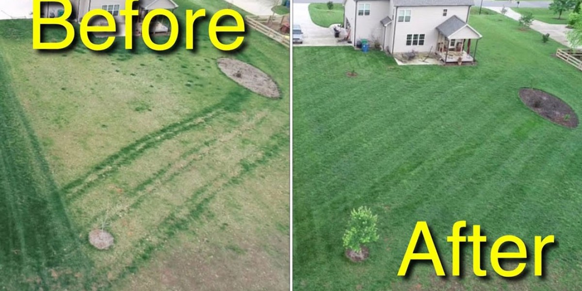 Comprehensive Guide to Lawn Treatment in Atlanta: Enhance Your Lawn's Health and Appearance