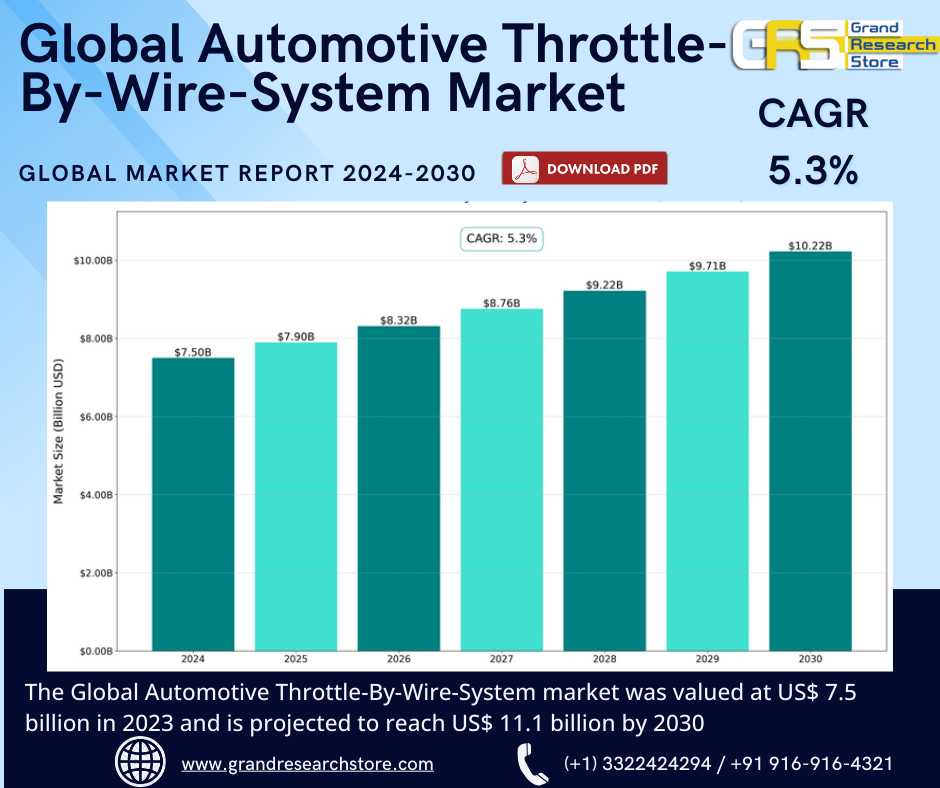 Global Automotive Throttle-By-Wire-System Market R..