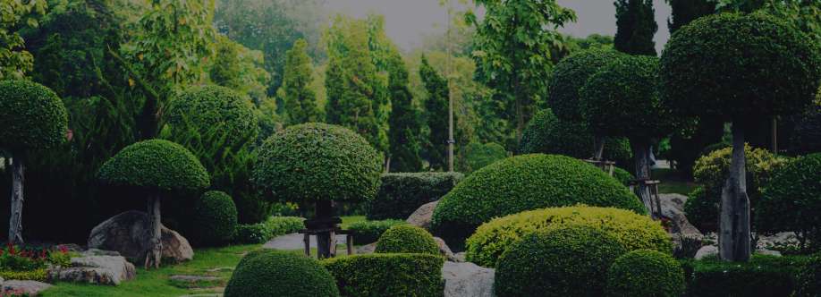 Evergreen Sprinkler and Landscap Cover Image