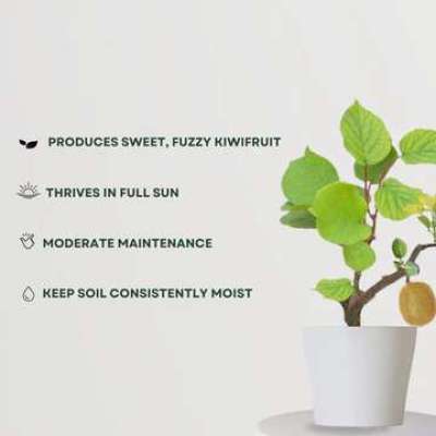 Hybrid Kiwi Plant Profile Picture