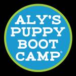 Alyspuppy bootcamp