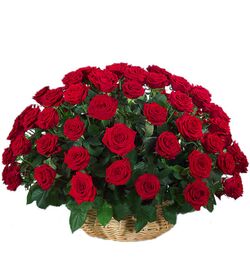 Flower Delivery Dhaka | Online Flower Delivery BangladeshaFlowers.com