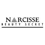 Narcisse Inc