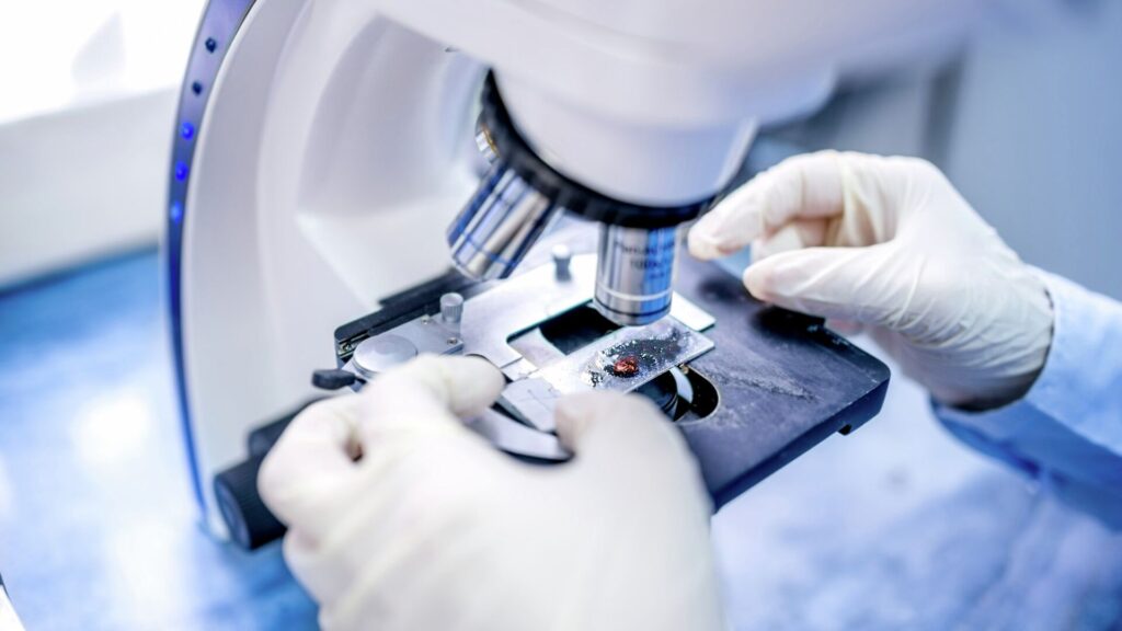 Global Cancer Tissue Diagnostic Market Poised for Remarkable Growth with Projected Value of USD 23,516.2 million by 2034 – FMIBlog