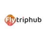 Fly Triphub Hub