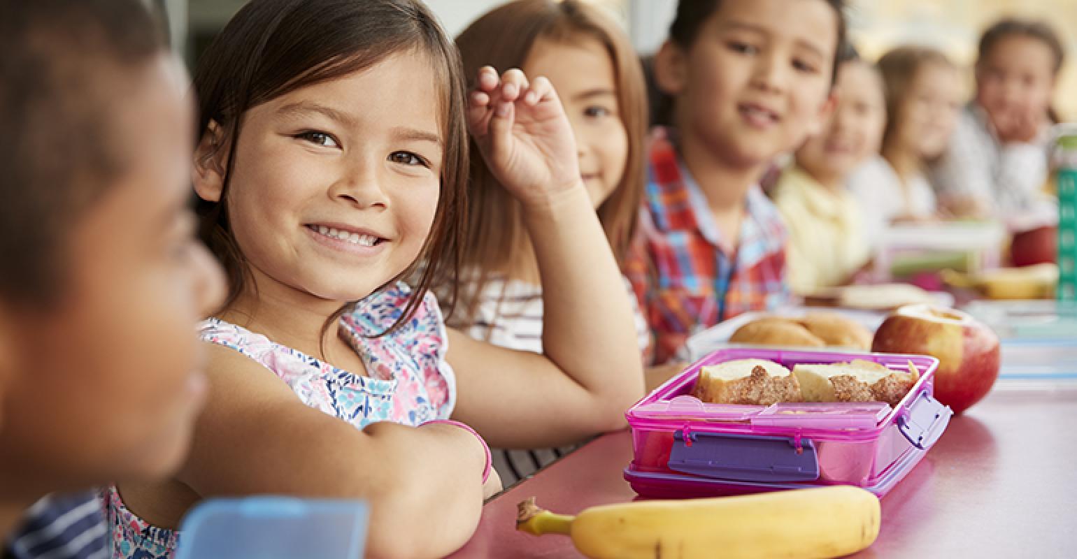 Revolutionizing Mealtime: The Importance and Benefits of a School Lunch Ordering System | Article Terrain