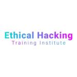 Ethical Hacking Training Institute