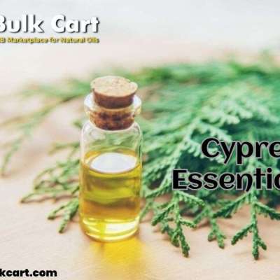 Cypress Essential Oil Wholesale by The Bulk Cart Profile Picture