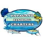 Papagayo Fishing Charters