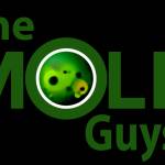 The Mold Guys