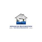 Advances Restoration And Mold