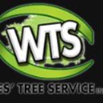 Westree service