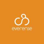 Everense Agency