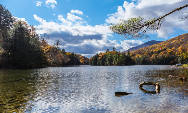 Massachusetts Road Trip: Unforgettable Stops for Nature Lovers - BizBangBoom