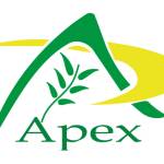 Apex herbex