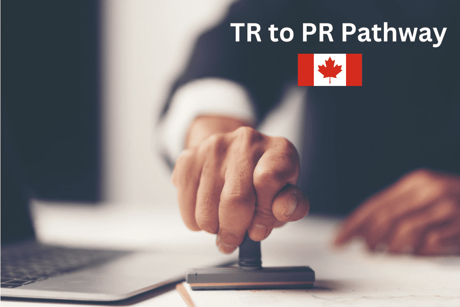 TR to PR Pathway | Cougar Immigration | Cougar Immigration